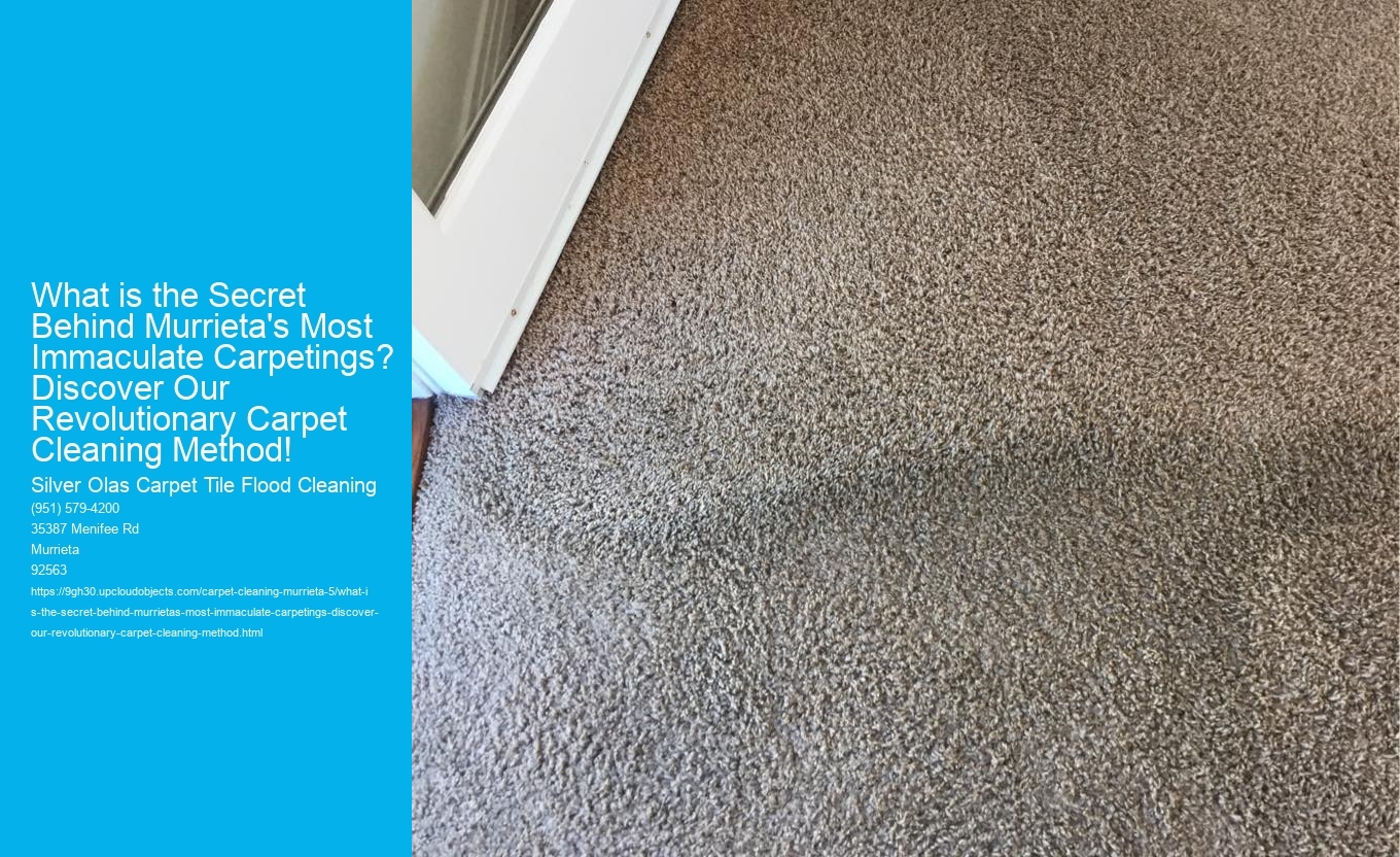 What is the Secret Behind Murrieta's Most Immaculate Carpetings? Discover Our Revolutionary Carpet Cleaning Method!