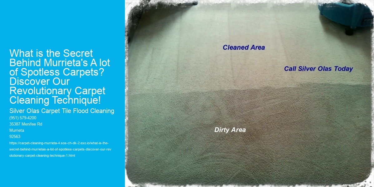 What is the Secret Behind Murrieta's A lot of Spotless Carpets? Discover Our Revolutionary Carpet Cleaning Technique!