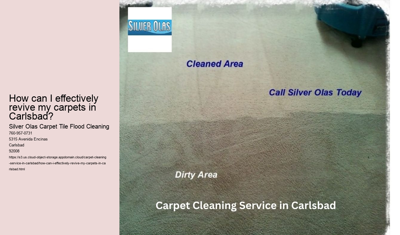How can I effectively revive my carpets in Carlsbad?