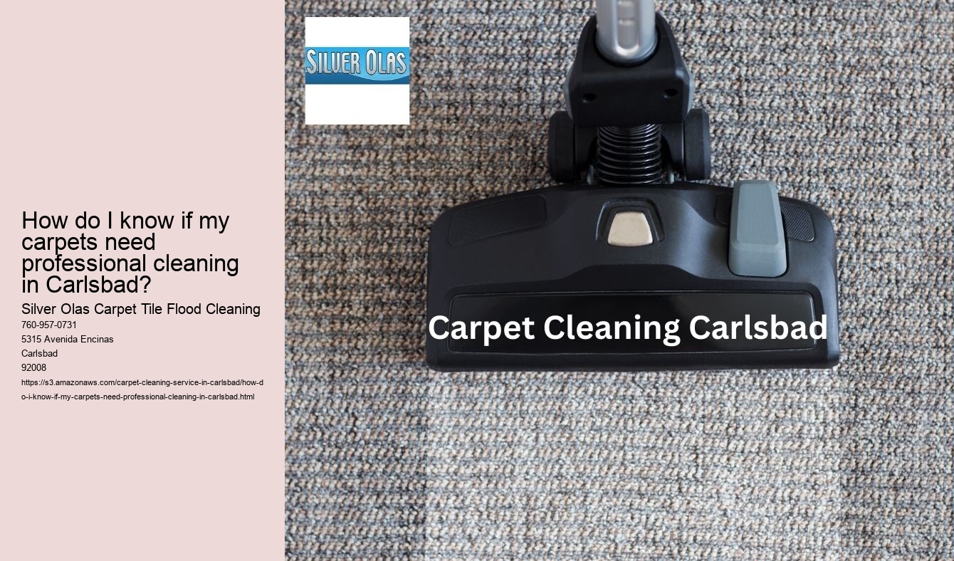 How do I know if my carpets need professional cleaning in Carlsbad?