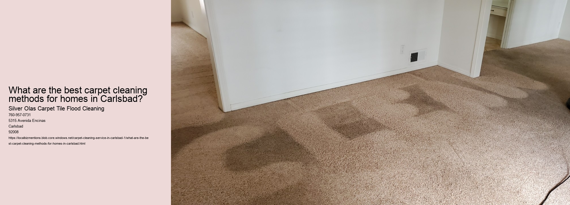 What are the best carpet cleaning methods for homes in Carlsbad?