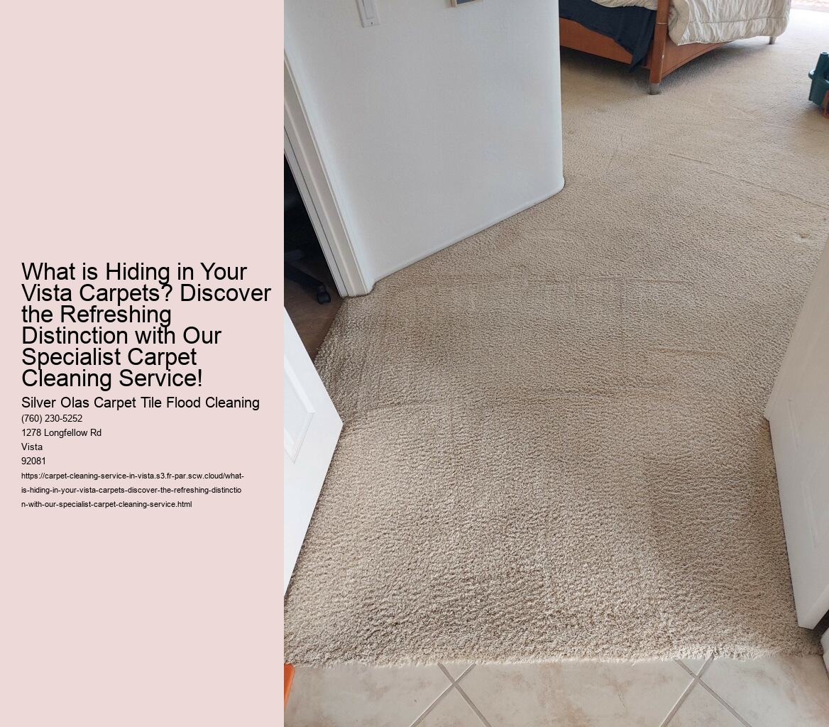 What is Hiding in Your Vista Carpets? Discover the Refreshing Distinction with Our Specialist Carpet Cleaning Service!