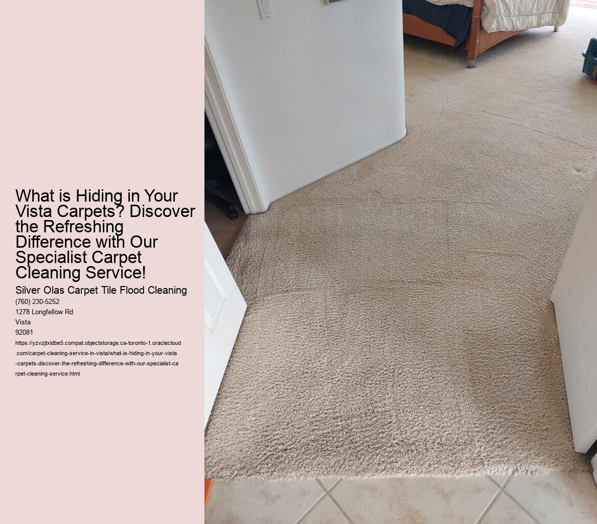 What is Hiding in Your Vista Carpets? Discover the Refreshing Difference with Our Specialist Carpet Cleaning Service!