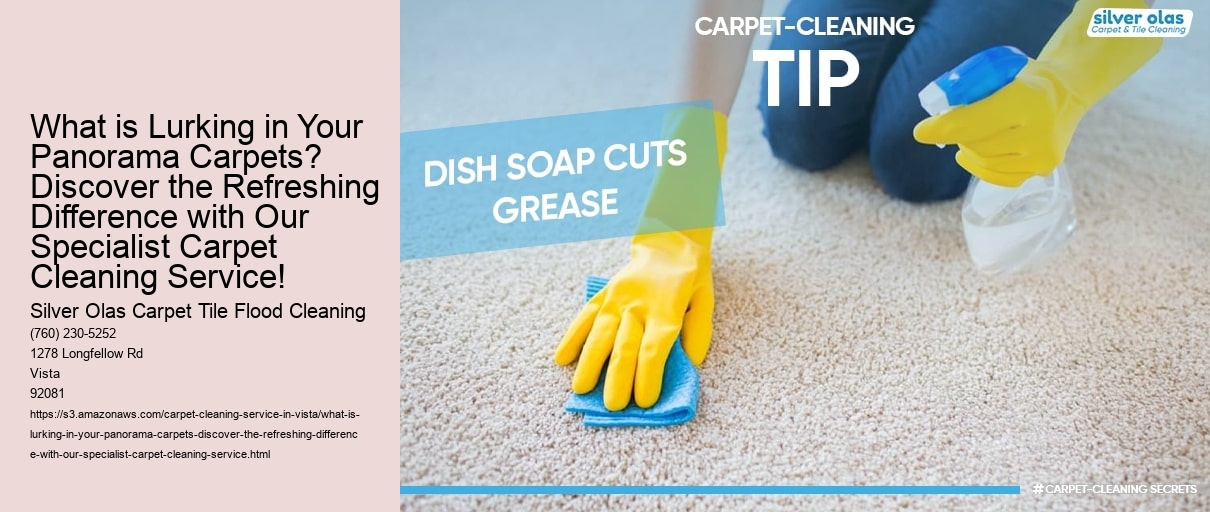 What is Lurking in Your Panorama Carpets? Discover the Refreshing Difference with Our Specialist Carpet Cleaning Service!