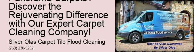 What is Lurking in Your Panorama Carpets? Discover the Rejuvenating Difference with Our Expert Carpet Cleaning Company!