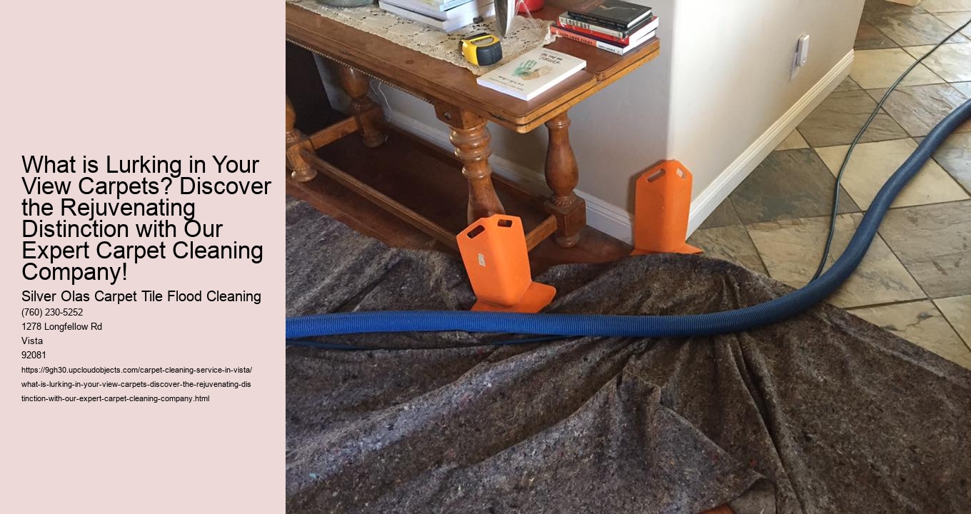 What is Lurking in Your View Carpets? Discover the Rejuvenating Distinction with Our Expert Carpet Cleaning Company!