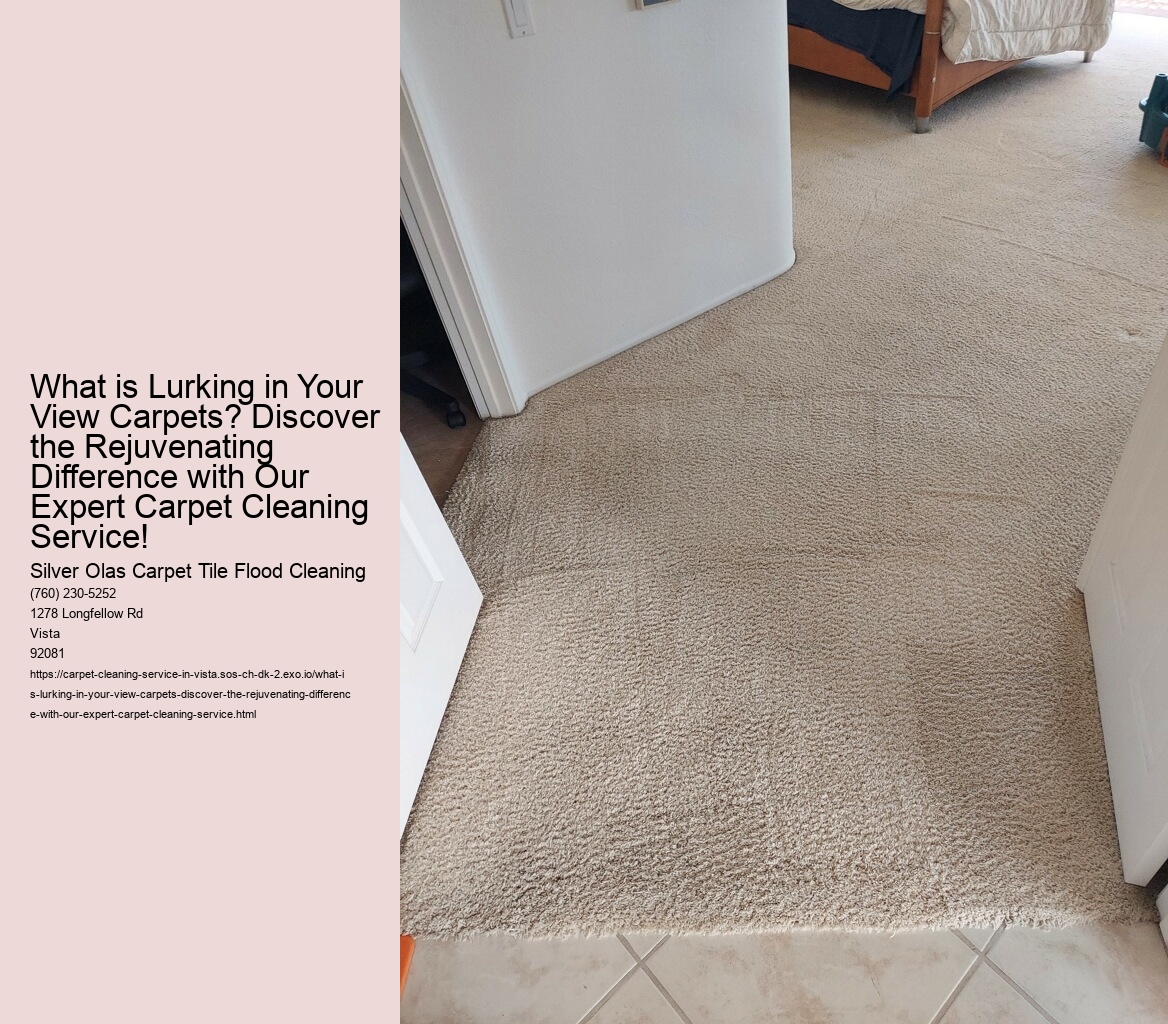 What is Lurking in Your View Carpets? Discover the Rejuvenating Difference with Our Expert Carpet Cleaning Service!