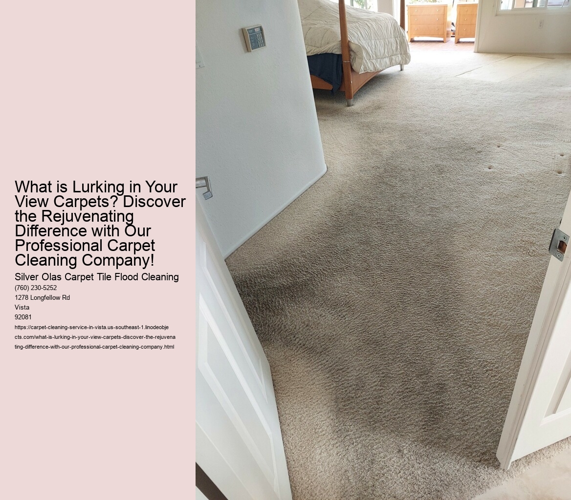 What is Lurking in Your View Carpets? Discover the Rejuvenating Difference with Our Professional Carpet Cleaning Company!