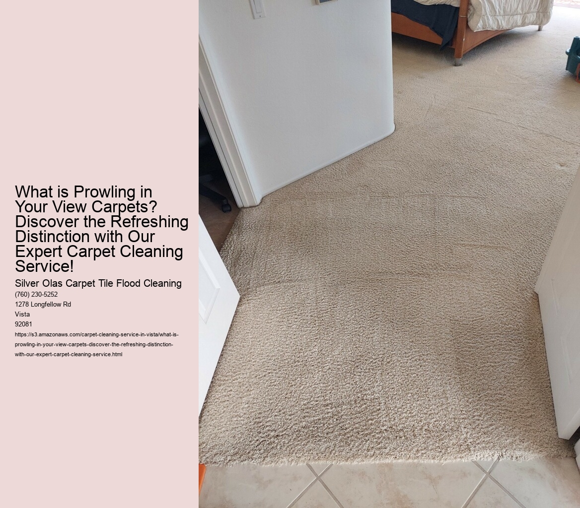 What is Prowling in Your View Carpets? Discover the Refreshing Distinction with Our Expert Carpet Cleaning Service!
