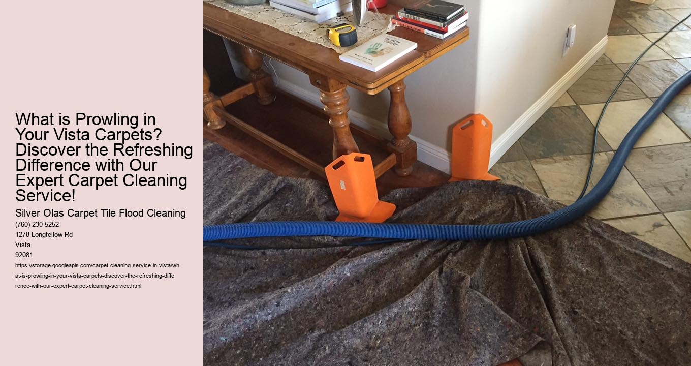 What is Prowling in Your Vista Carpets? Discover the Refreshing Difference with Our Expert Carpet Cleaning Service!