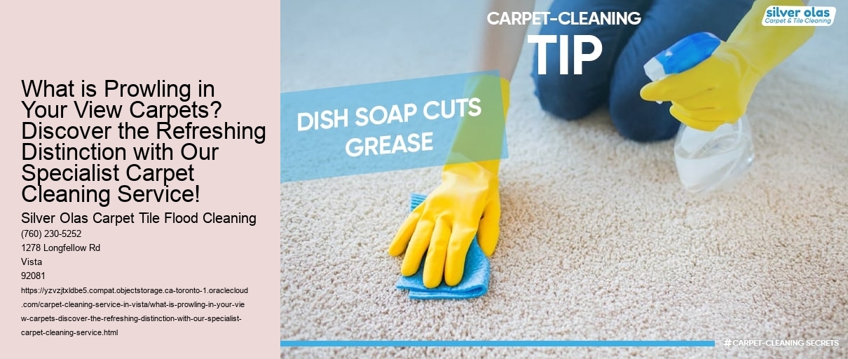 What is Prowling in Your View Carpets? Discover the Refreshing Distinction with Our Specialist Carpet Cleaning Service!