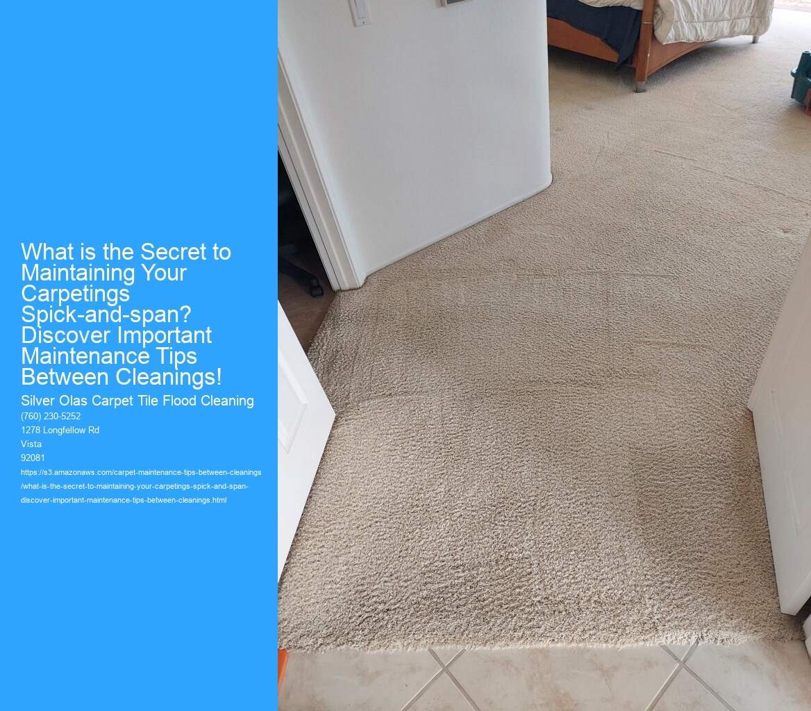 What is the Secret to Maintaining Your Carpetings Spick-and-span? Discover Important Maintenance Tips Between Cleanings!