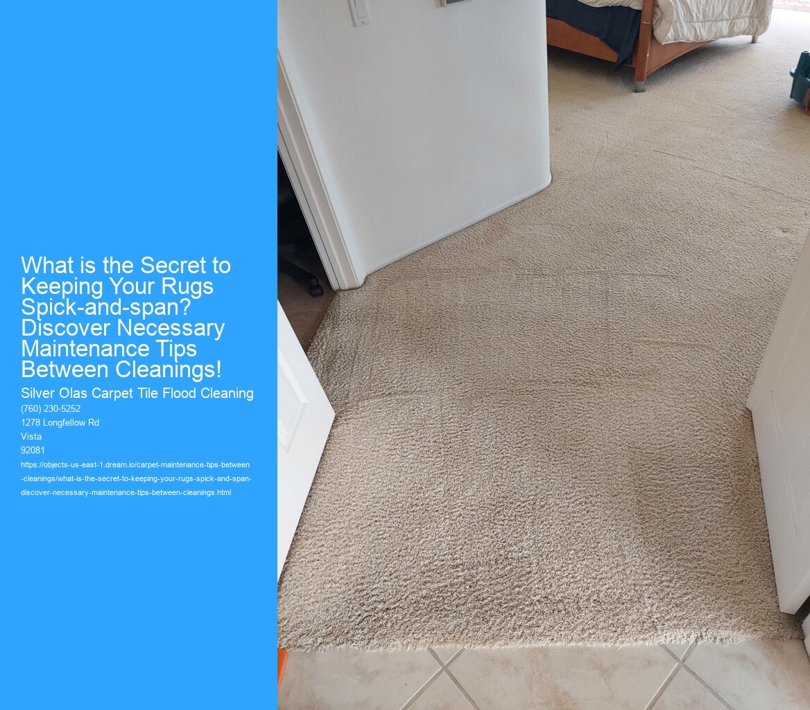 What is the Secret to Keeping Your Rugs Spick-and-span? Discover Necessary Maintenance Tips Between Cleanings!