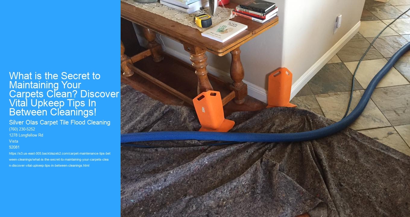 What is the Secret to Maintaining Your Carpets Clean? Discover Vital Upkeep Tips In Between Cleanings!