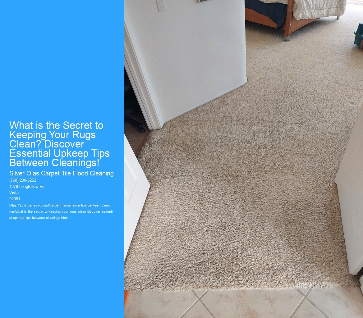 What is the Secret to Keeping Your Rugs Clean? Discover Essential Upkeep Tips Between Cleanings!