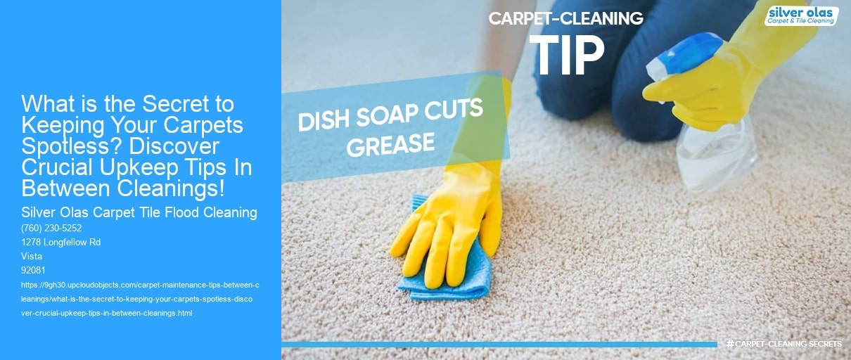 What is the Secret to Keeping Your Carpets Spotless? Discover Crucial Upkeep Tips In Between Cleanings!