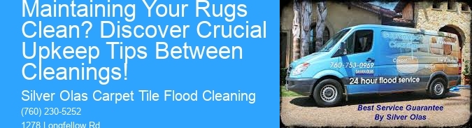 What is the Secret to Maintaining Your Rugs Clean? Discover Crucial Upkeep Tips Between Cleanings!