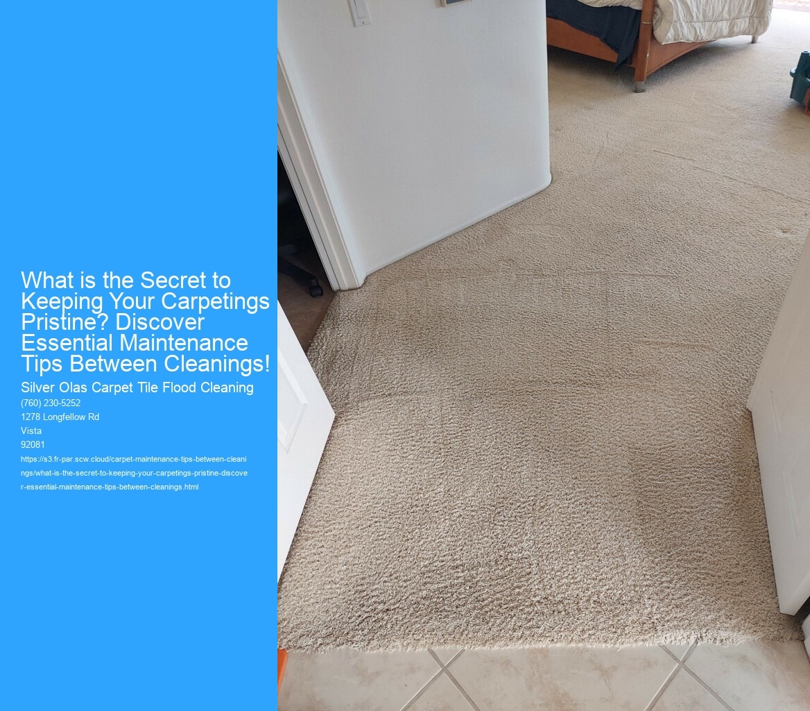 What is the Secret to Keeping Your Carpetings Pristine? Discover Essential Maintenance Tips Between Cleanings!