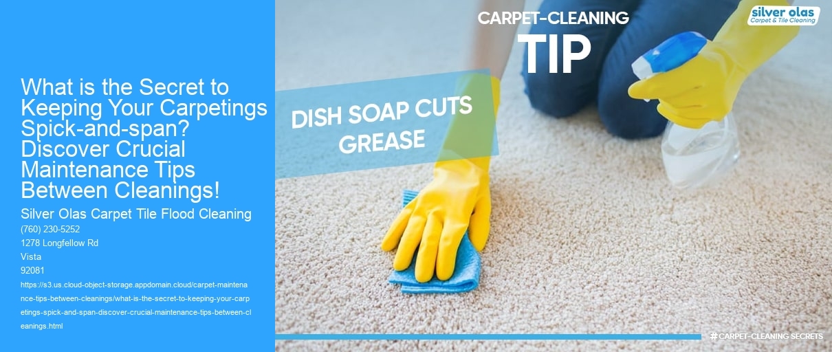 What is the Secret to Keeping Your Carpetings Spick-and-span? Discover Crucial Maintenance Tips Between Cleanings!