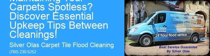 What is the Secret to Maintaining Your Carpets Spotless? Discover Essential Upkeep Tips Between Cleanings!
