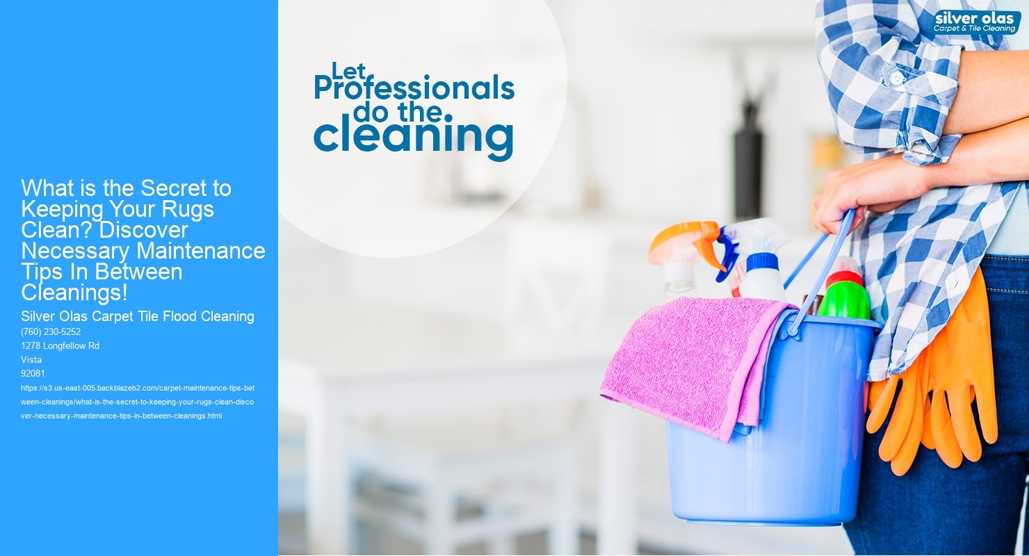 What is the Secret to Keeping Your Rugs Clean? Discover Necessary Maintenance Tips In Between Cleanings!