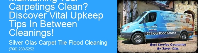 What is the Secret to Maintaining Your Carpetings Clean? Discover Vital Upkeep Tips In Between Cleanings!