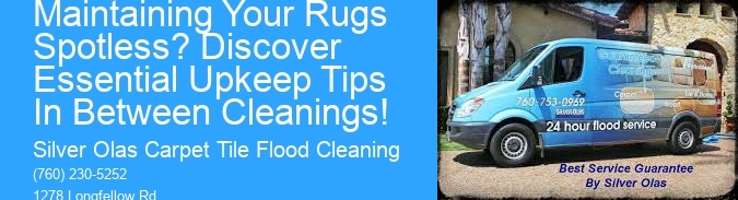 What is the Secret to Maintaining Your Rugs Spotless? Discover Essential Upkeep Tips In Between Cleanings!