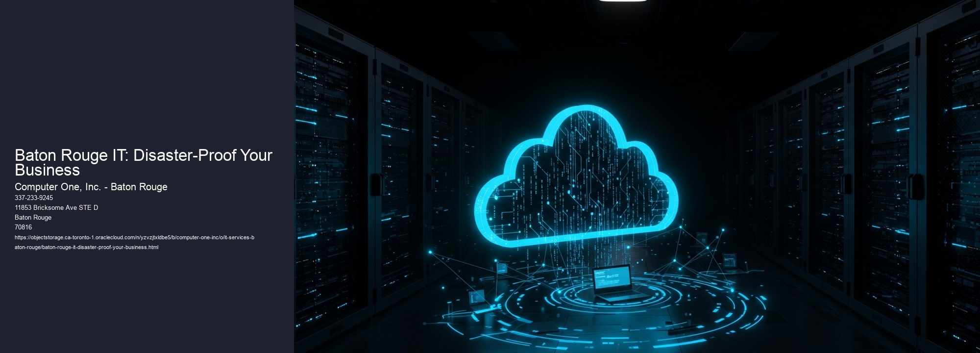 Baton Rouge IT: Disaster-Proof Your Business