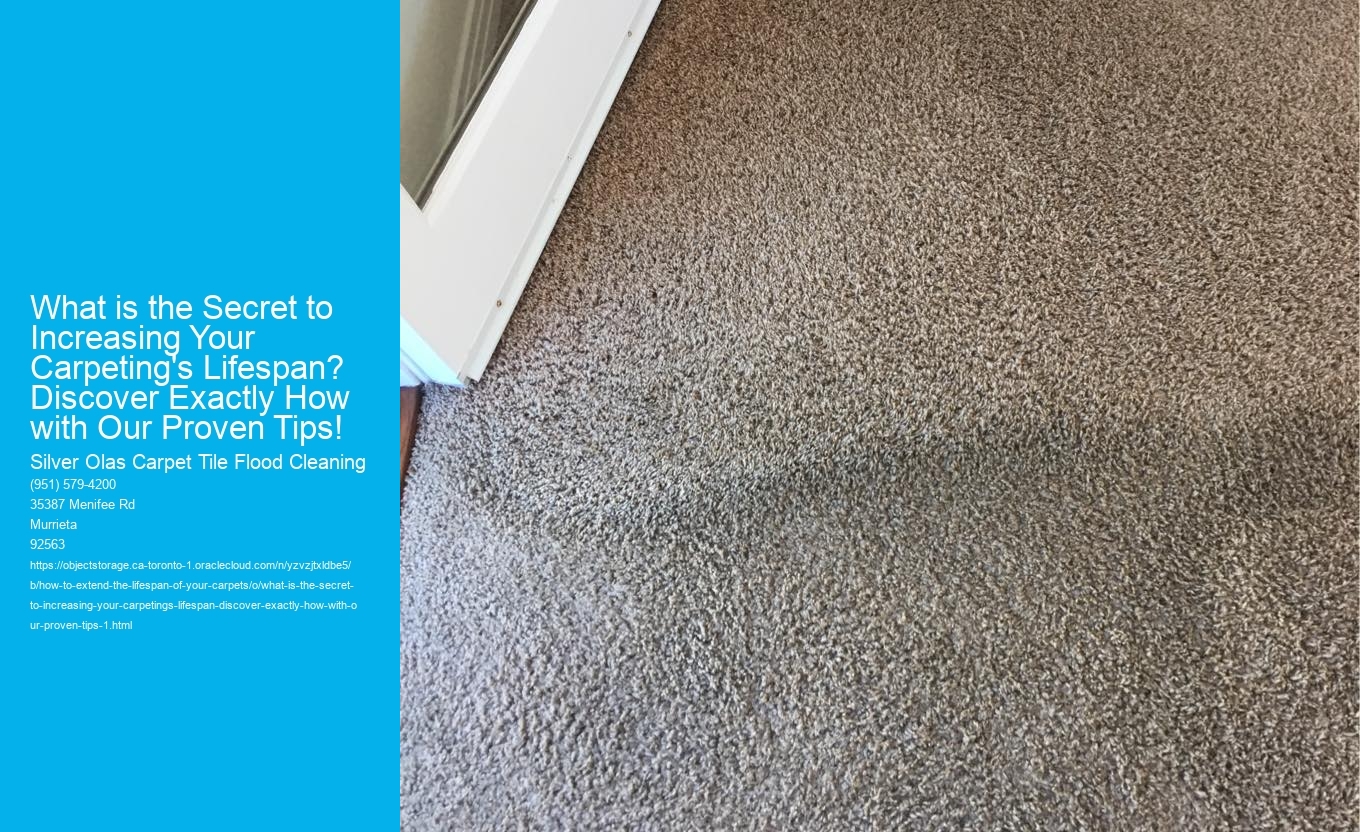 What is the Secret to Increasing Your Carpeting's Lifespan? Discover Exactly How with Our Proven Tips!