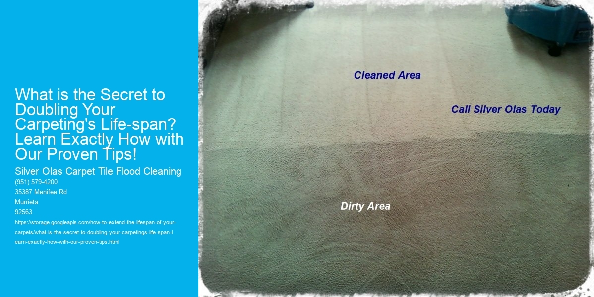 What is the Secret to Doubling Your Carpeting's Life-span? Learn Exactly How with Our Proven Tips!