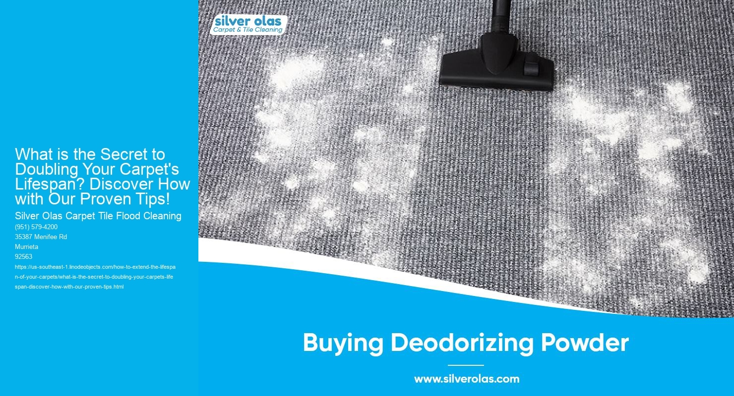 What is the Secret to Doubling Your Carpet's Lifespan? Discover How with Our Proven Tips!