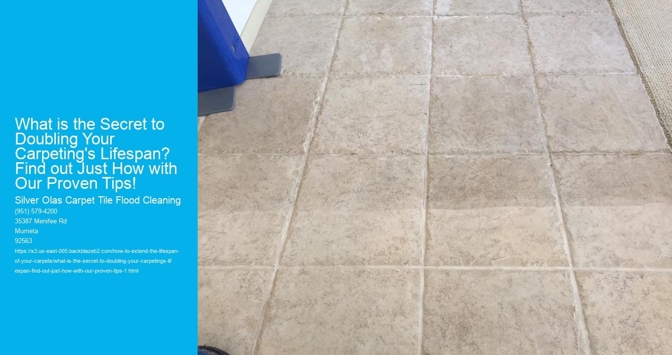 What is the Secret to Doubling Your Carpeting's Lifespan? Find out Just How with Our Proven Tips!