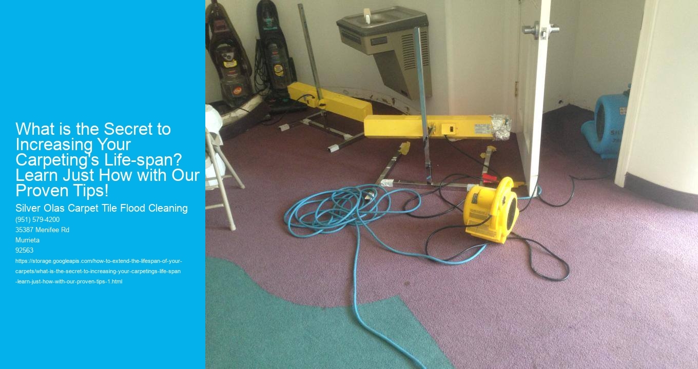 What is the Secret to Increasing Your Carpeting's Life-span? Learn Just How with Our Proven Tips!