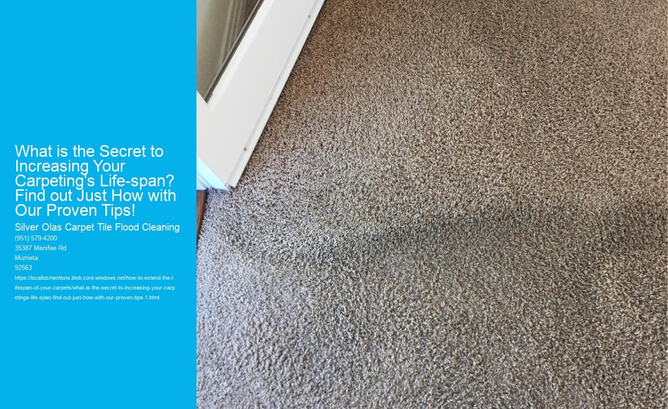 What is the Secret to Increasing Your Carpeting's Life-span? Find out Just How with Our Proven Tips!