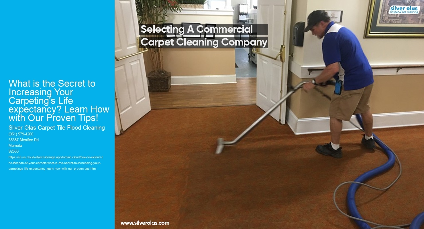 What is the Secret to Increasing Your Carpeting's Life expectancy? Learn How with Our Proven Tips!