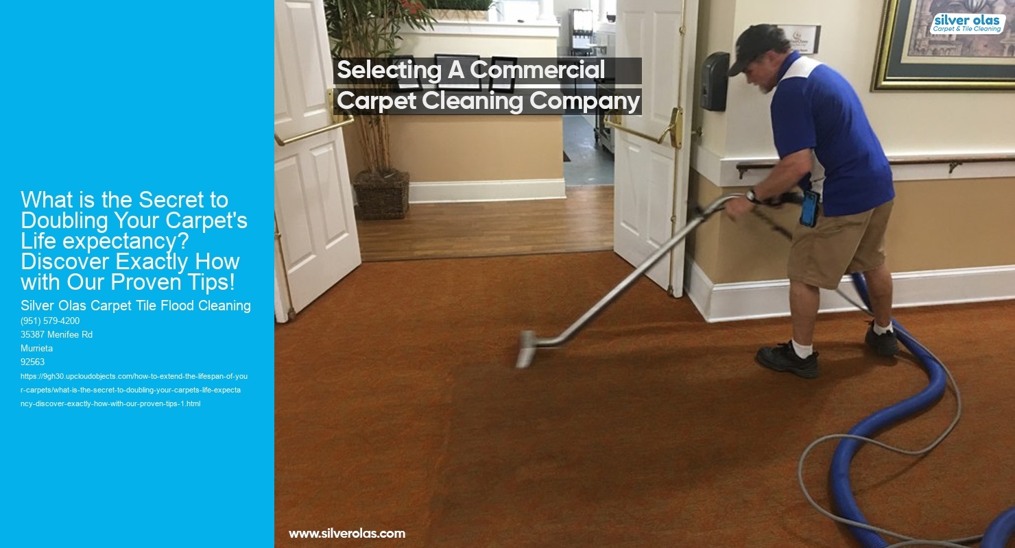 What is the Secret to Doubling Your Carpet's Life expectancy? Discover Exactly How with Our Proven Tips!