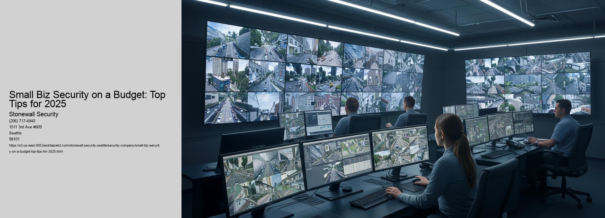 Small Biz Security on a Budget: Top Tips for 2025