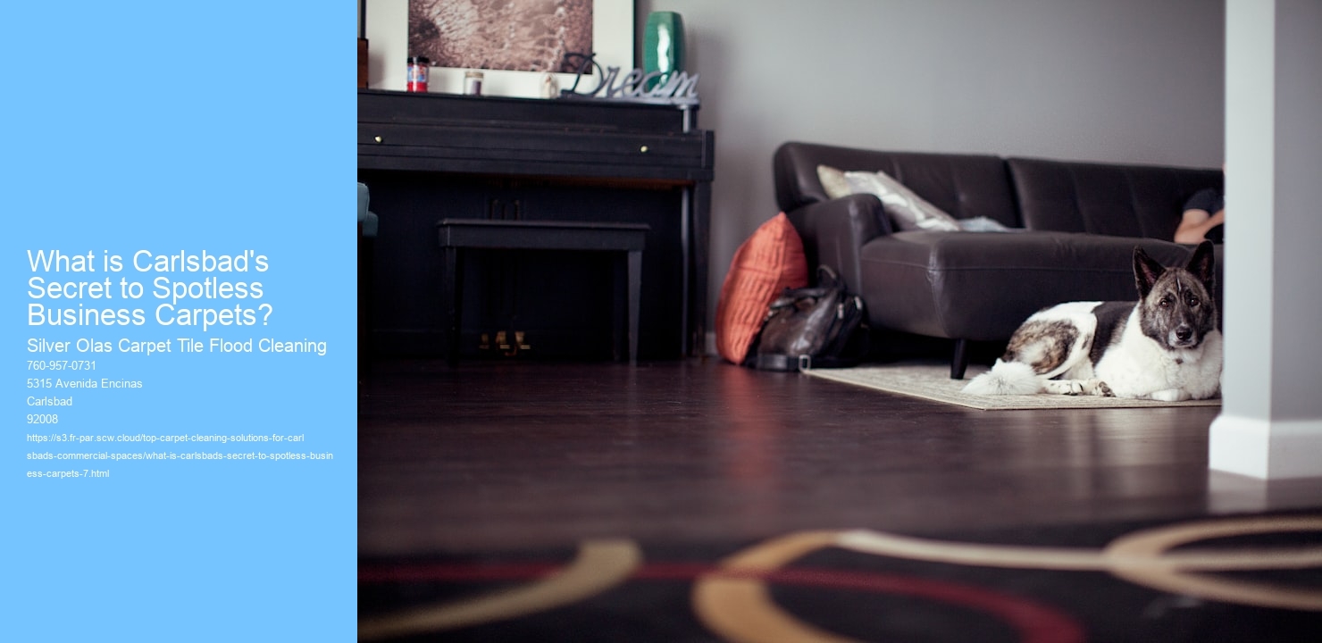 What is Carlsbad's Secret to Spotless Business Carpets?