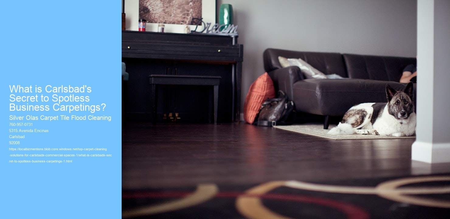 What is Carlsbad's Secret to Spotless Business Carpetings?