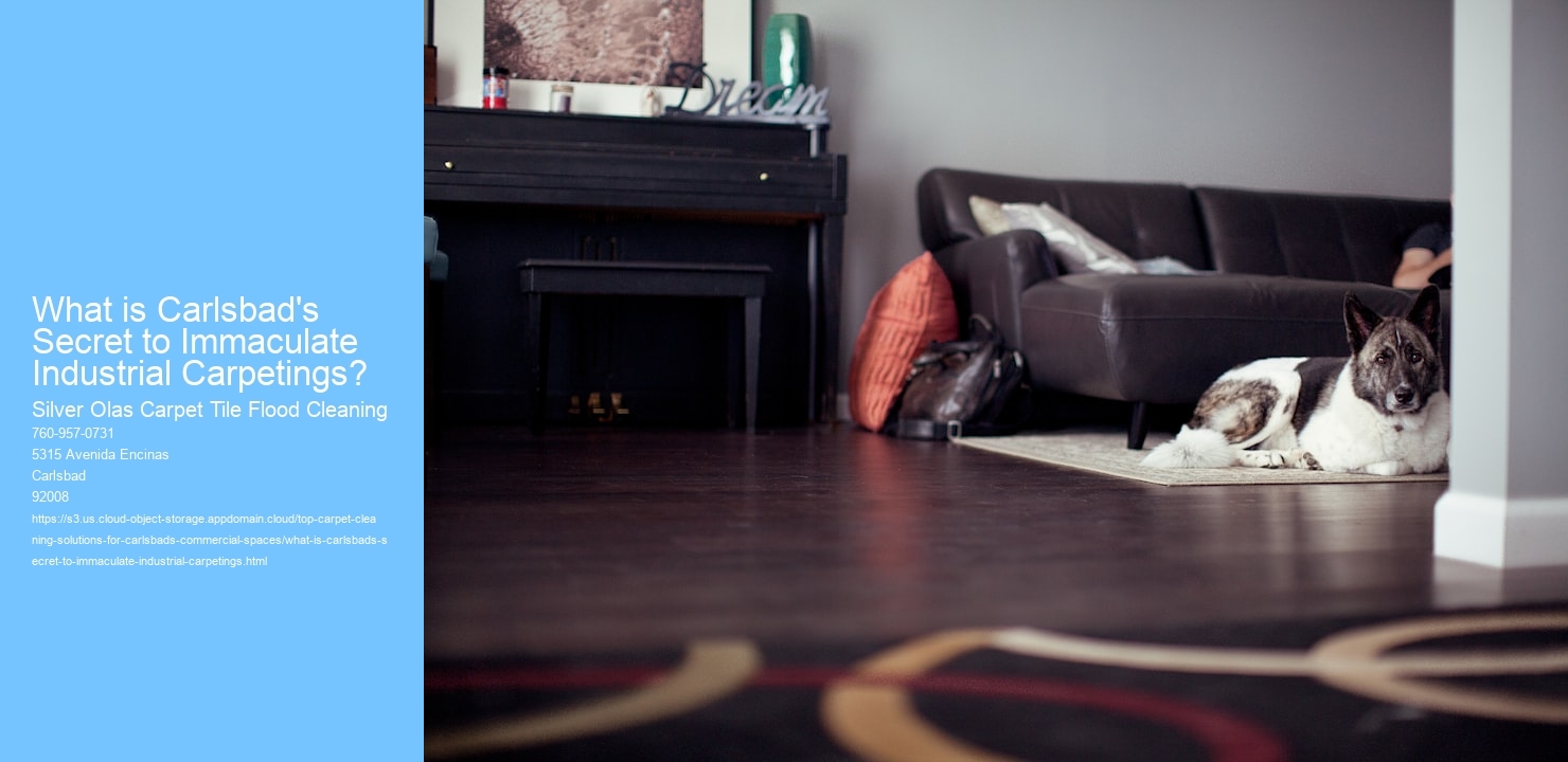 What is Carlsbad's Secret to Immaculate Industrial Carpetings?