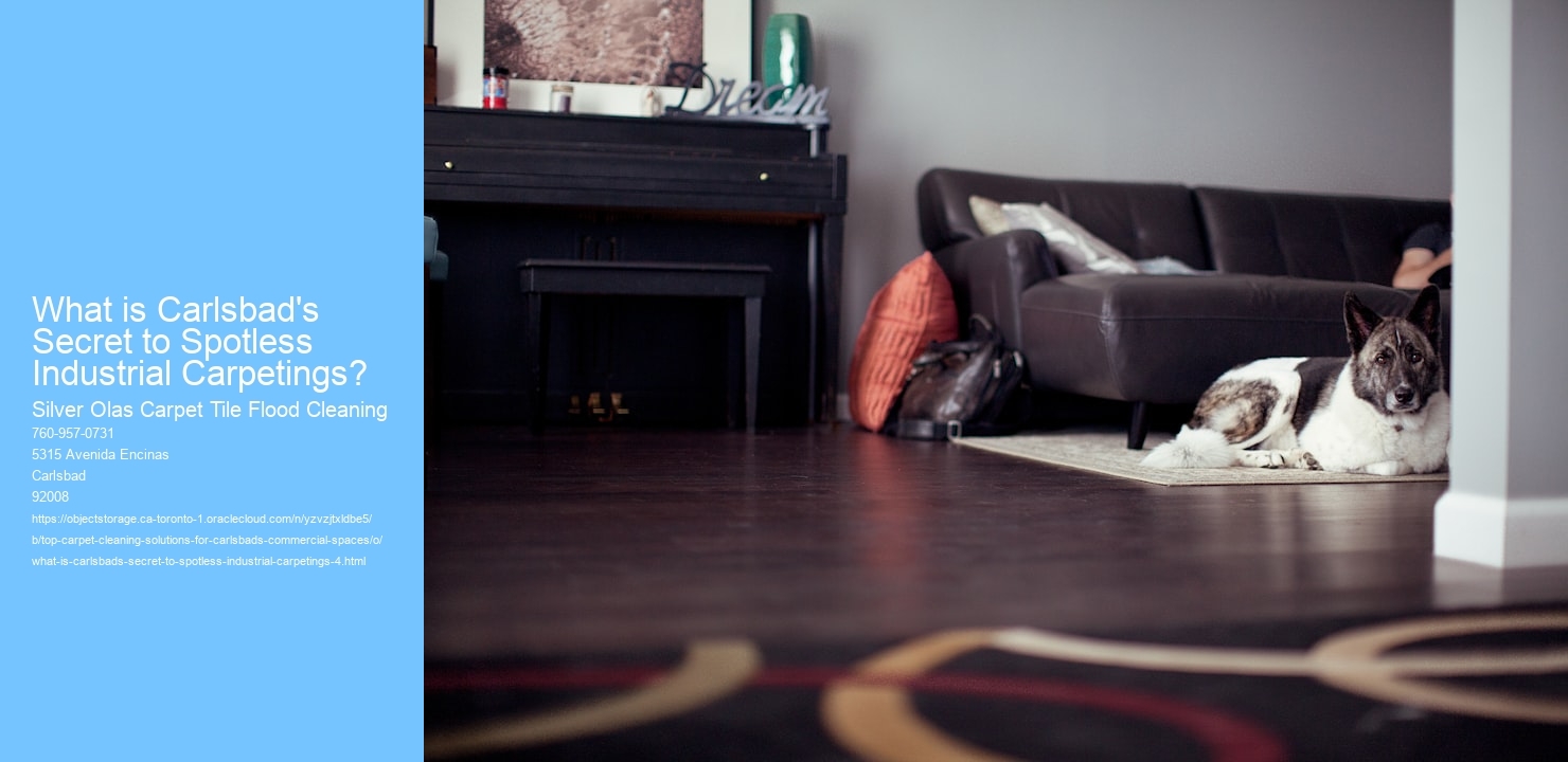 What is Carlsbad's Secret to Spotless Industrial Carpetings?